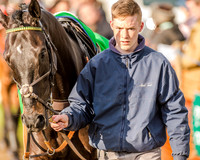 Race 6 - Open Maiden race (7 of 110).jpg