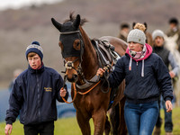 Race 3 - Young Horse maiden 2m5f (9 of 124).jpg