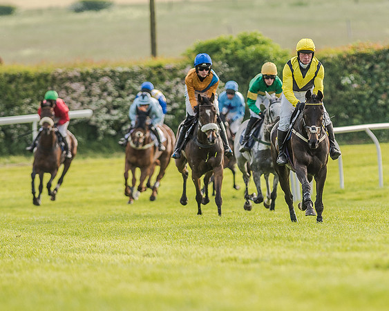 Race 7 - Div 2 - Open Maiden (72 of 163).jpg