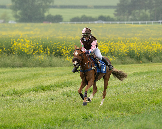 Pony Race 1  (86 of 125)