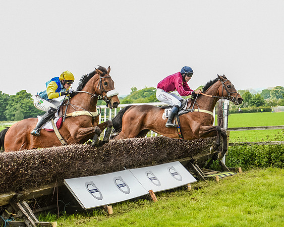 Race 2 - PPORA Members Novice Riders  (80 of 112).jpg