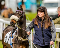 Pony Race 1  (3 of 65).jpg