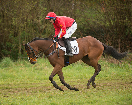 Race 5 - Open Maiden (60 of 147).jpg