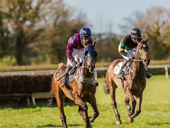 Race 6 - The Open Maiden (50 of 122).jpg
