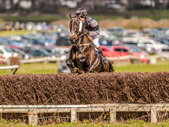 Race 4 - Ladies Open [Nov-Vet] (49 of 82).jpg