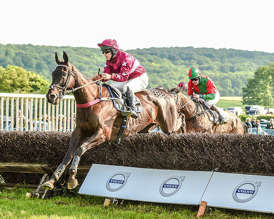 Race 7 - Div 1 - Open Maiden (53 of 94).jpg