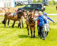 Pony Race 1  (14 of 99).jpg