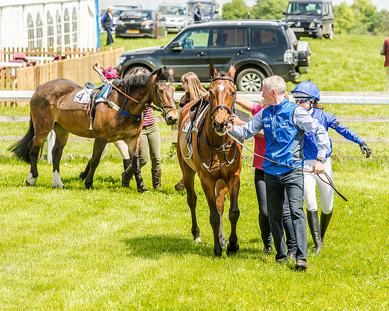 Pony Race 1  (14 of 99).jpg