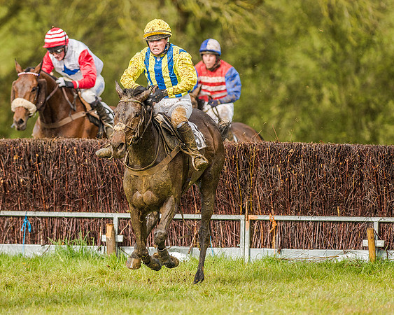 Race 5 - Open Maiden (111 of 147).jpg