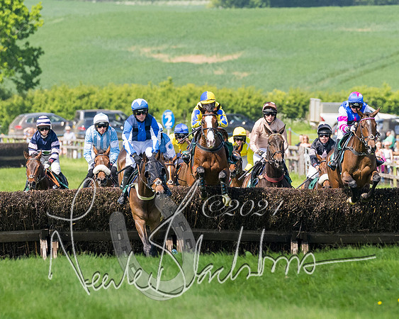 Race 2 - The Maiden  (136 of 442)