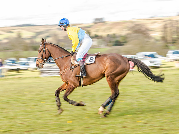 Race 6 - The Restricted Race [Nov-Vet] (26 of 84).jpg