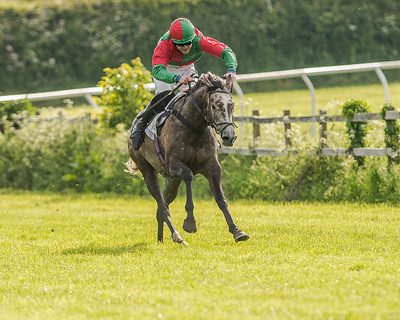 Race 7 - Div 1 - Open Maiden (67 of 94).jpg