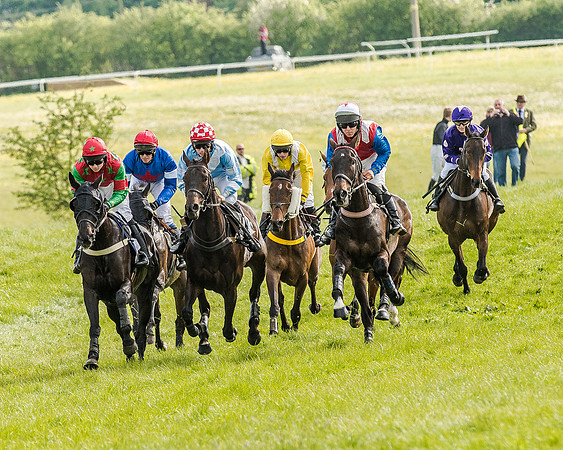 Race 5 - Division 2 - Restricted Race (39 of 105).jpg