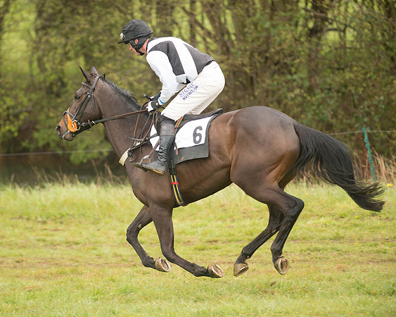 Race 5 - Open Maiden (58 of 147).jpg