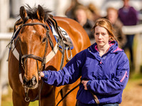 Race 5 - Mens Open [Nov-Vet] (12 of 68).jpg