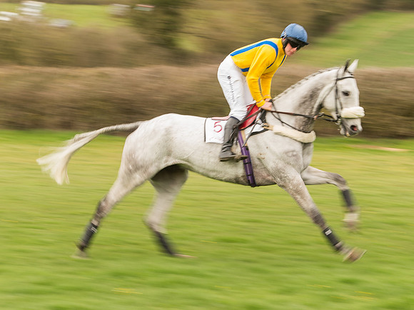 Race 7 - Open Maiden Division 2  (45 of 106).jpg