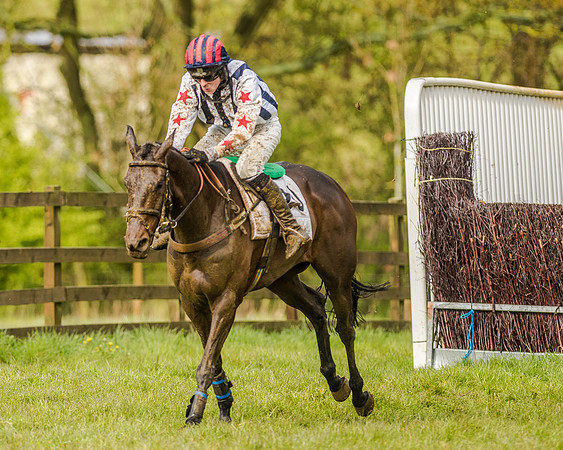 Race 5 - Open Maiden (125 of 147).jpg