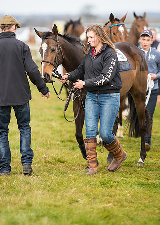 Pony Race 2 - 148cm -9