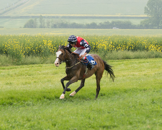 Pony Race 2 (62 of 113)