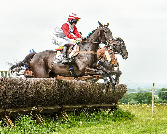 Race 2 - PPORA Members Novice Riders  (51 of 112).jpg