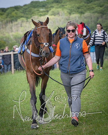 Race 4 - The Dickie Lim Mixed Open Race (10 of 101)