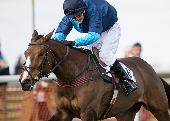 Pony Race 2 - 148cm -53