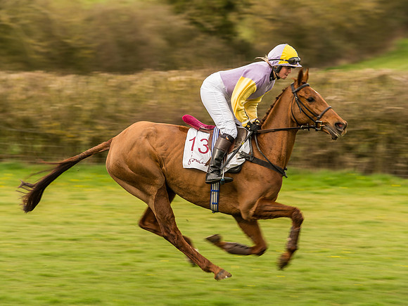 Race 6 - Open Maiden Division 1  (41 of 133).jpg