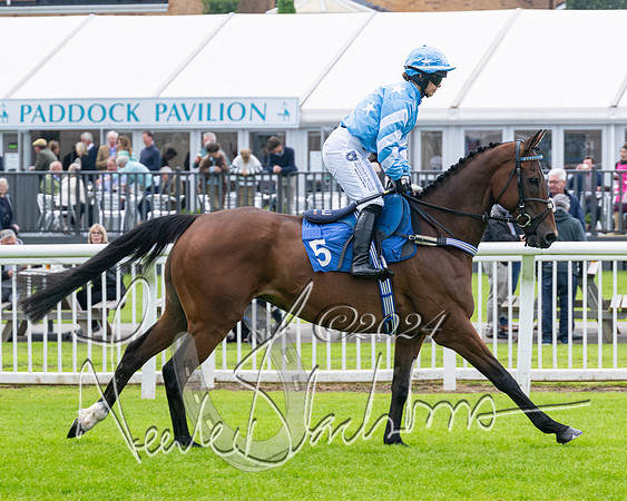 Race 2 - Ladies Open Final (15 of 94)