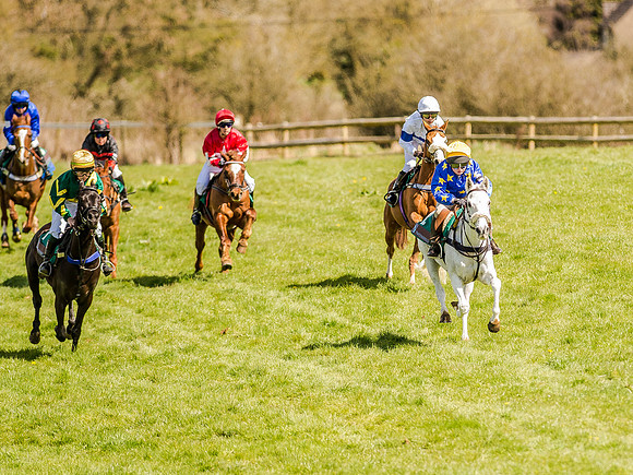 Pony Races (28 of 127).jpg
