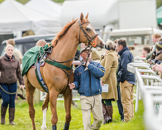 Race 7 - PPORA Members Conditions (6 of 192)