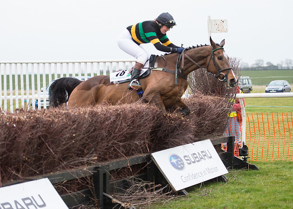 Race 7 - PPORA Novice Riders-73
