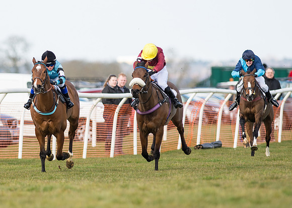 Pony Race 2 - 148cm -22