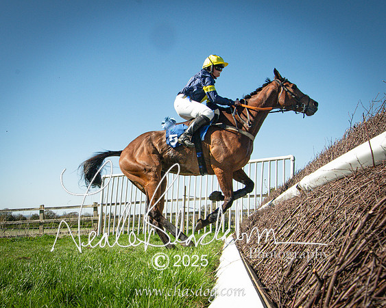 Race 5 - The restricted (99 of 113)
