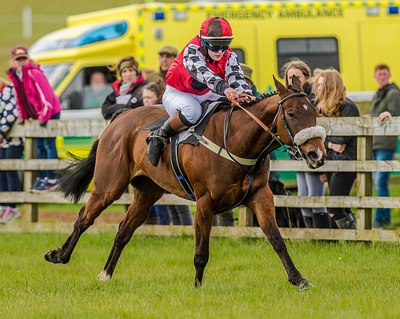 Pony Race 3 (34 of 78).jpg