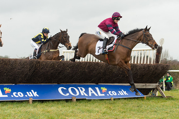 Race 2 - Ladies Open (30 of 70).jpg