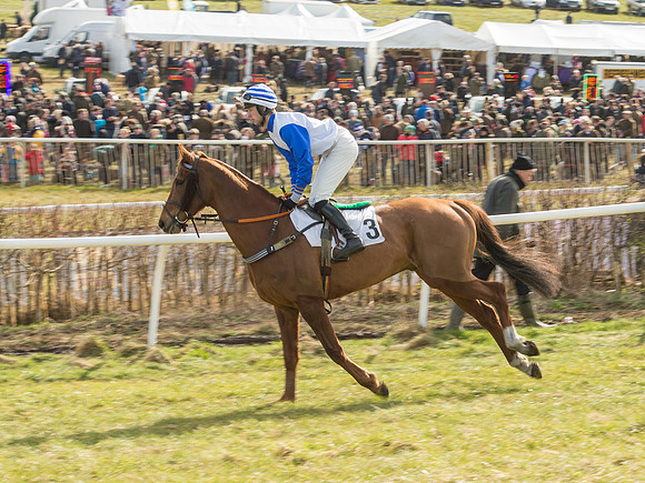 Race 2 - Confined Hunts Race (22 of 87).jpg