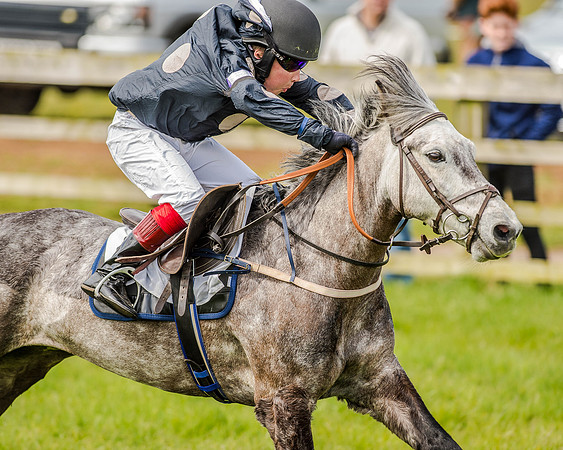 Pony Race 1  (46 of 65).jpg