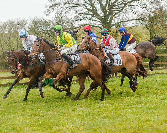 Race 5 - Restricted Race (68 of 146).jpg