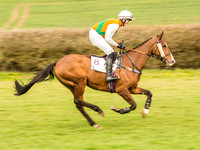 Race 2 - PPORA Club Members race (13 of 77).jpg