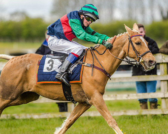 Pony Race 2 (56 of 77).jpg
