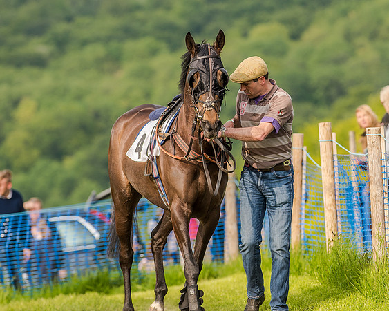 Race 7 - Div 2 - Open Maiden (35 of 163).jpg
