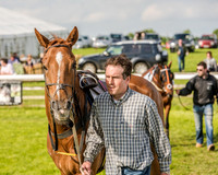 Race 6 - Open Maiden Race (19 of 176).jpg