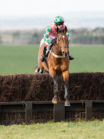 Race 6 - Open Maiden (45 of 110).jpg