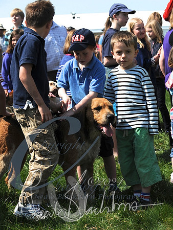 picture-41