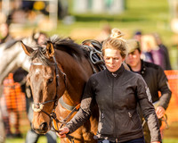 Race 6 - Open Maiden race (17 of 110).jpg
