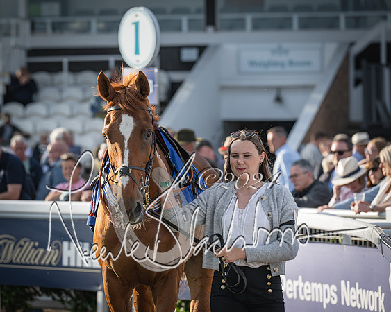 Race 4 - Peretemps Stratford Foxhunters (25 of 168)