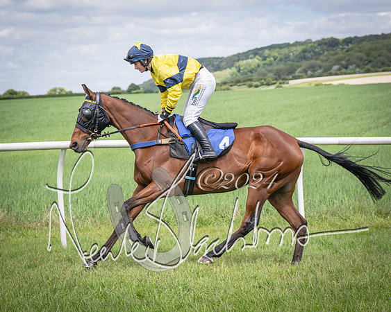 Race 1 - The owner-trainer Conditions race (18 of 118)