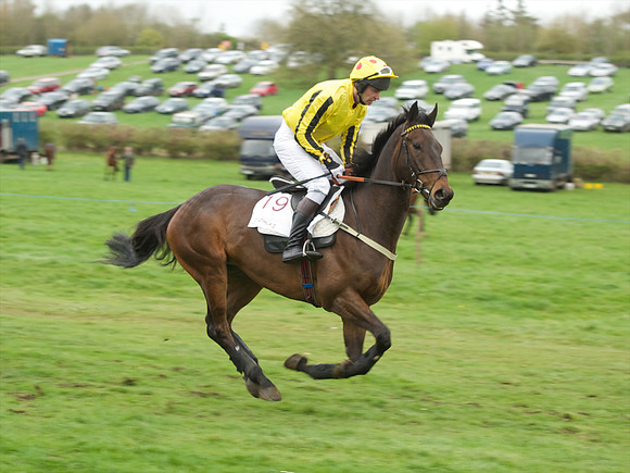 Race 6 - Maiden  34