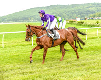 Race 1 - Hunt Members (18 of 126).jpg