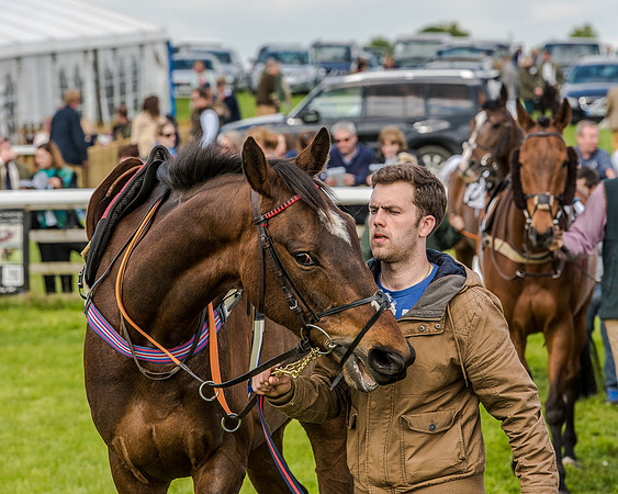 Race 4 - PPORA Novice Riders (39 of 196).jpg